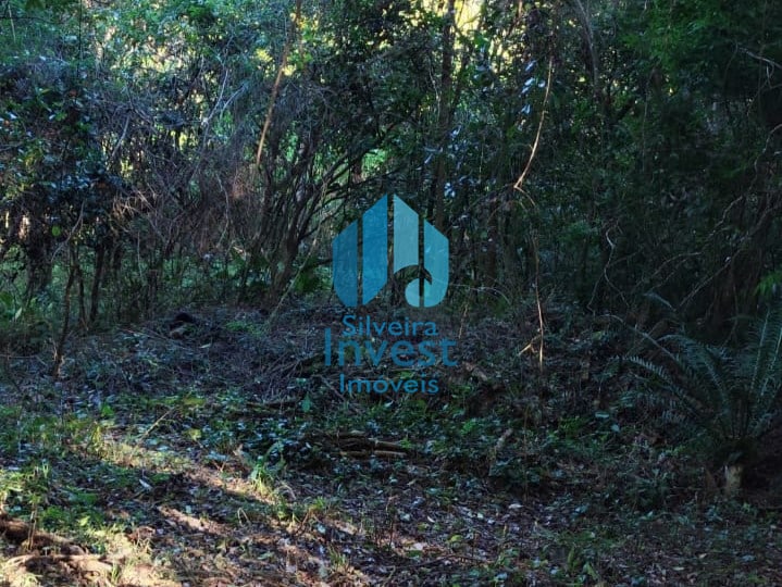 Amplo Terreno a Poucos Minutos do Centro da Cidade, Ressacada | Garopaba - SC